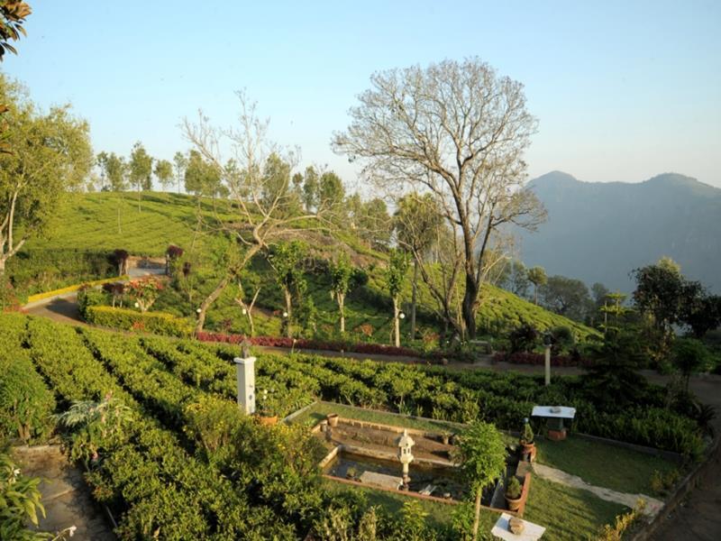 Teanest By Nature Resorts Coonoor Exterior photo